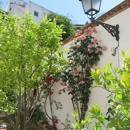 Apartment Albaicin Patio