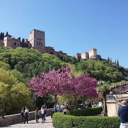 Albaicin Patio Granada